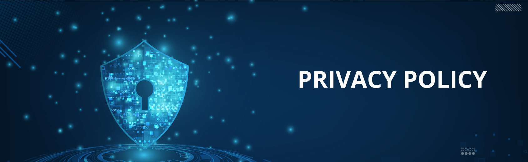 Privacy Policy | Luminous