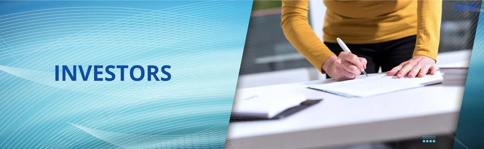 Investors | Luminous